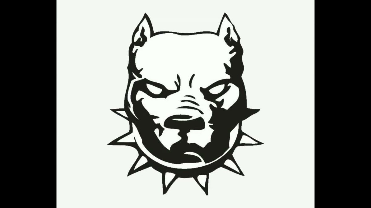 Наклейки на авто с питбулем