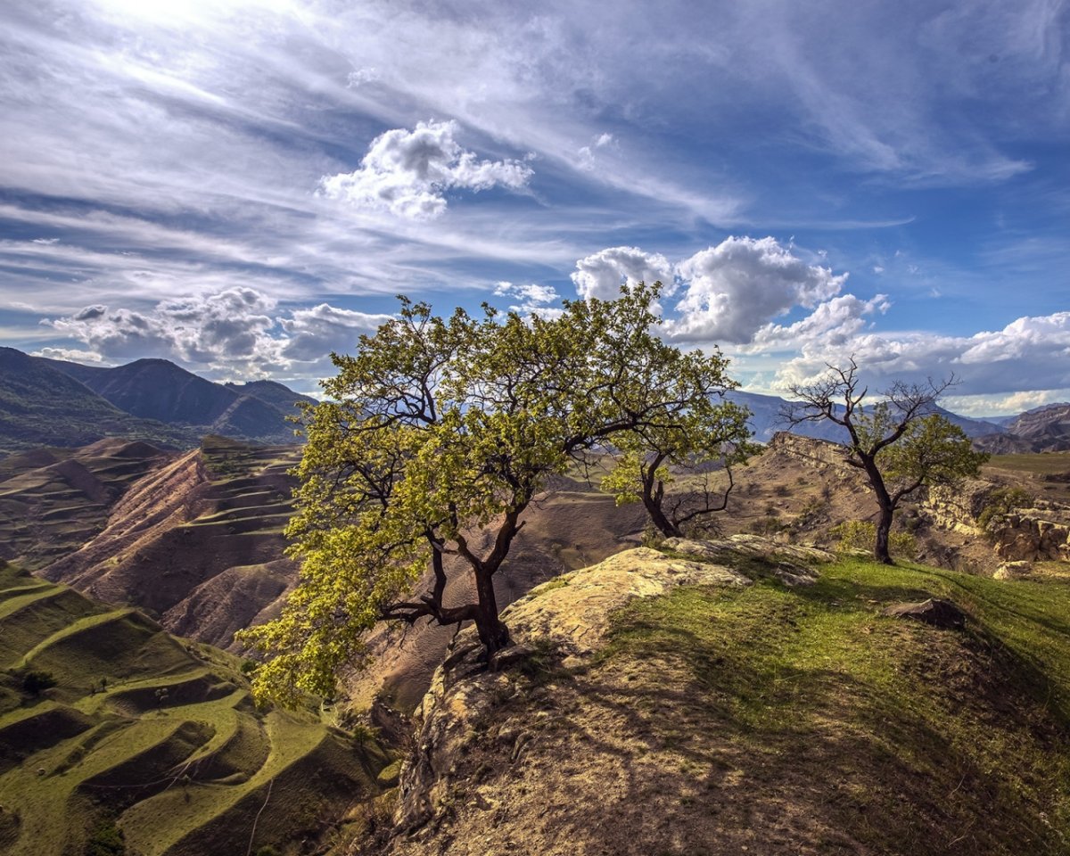 Горные террасы Дагестана