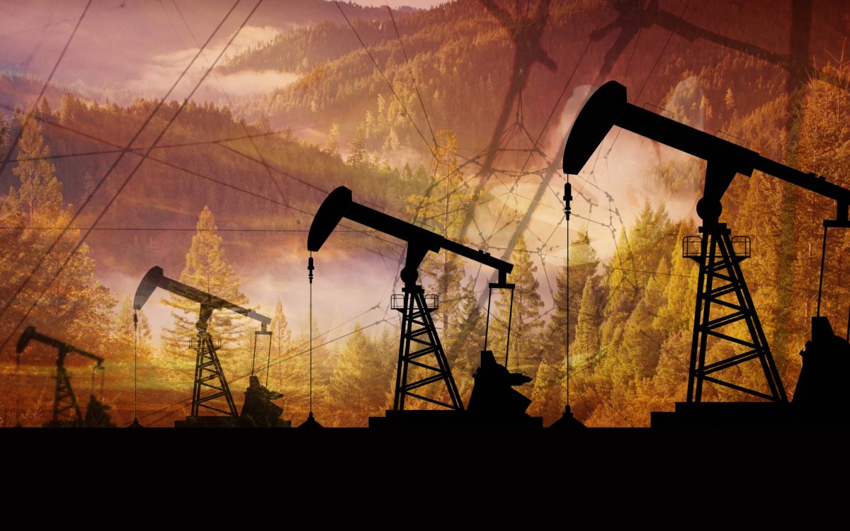 Нефтедобывающая промышленность