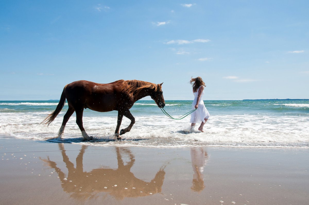 Девушка на лошади по берегу