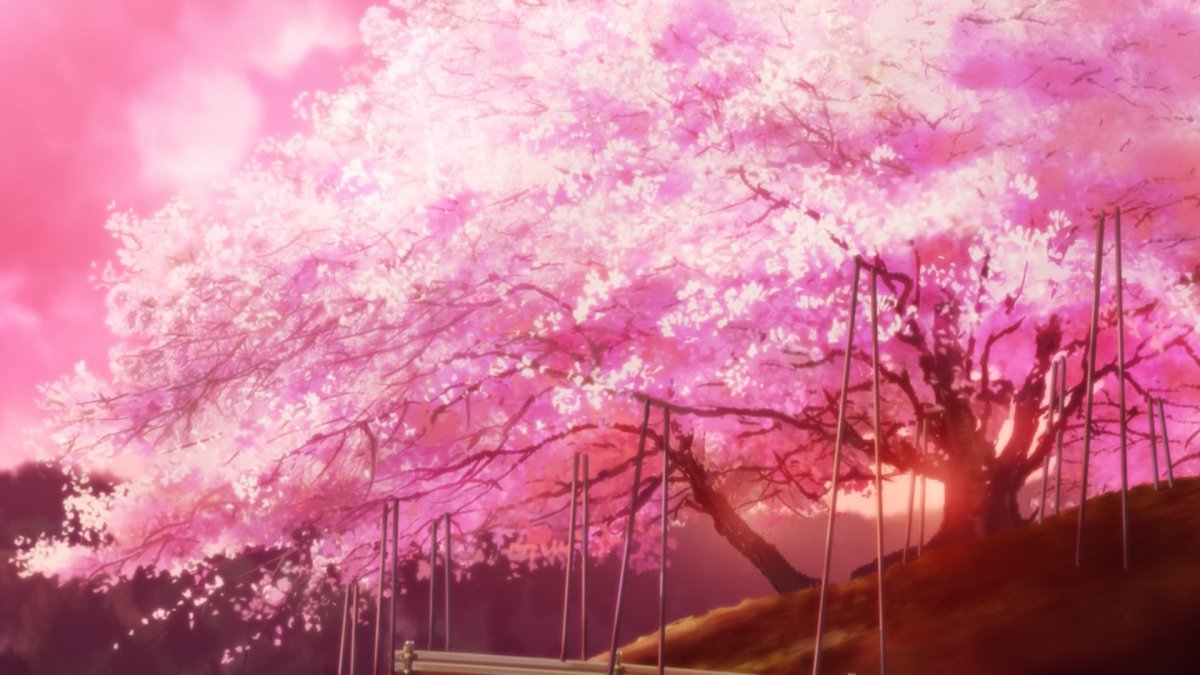 Фиолетовое дерево