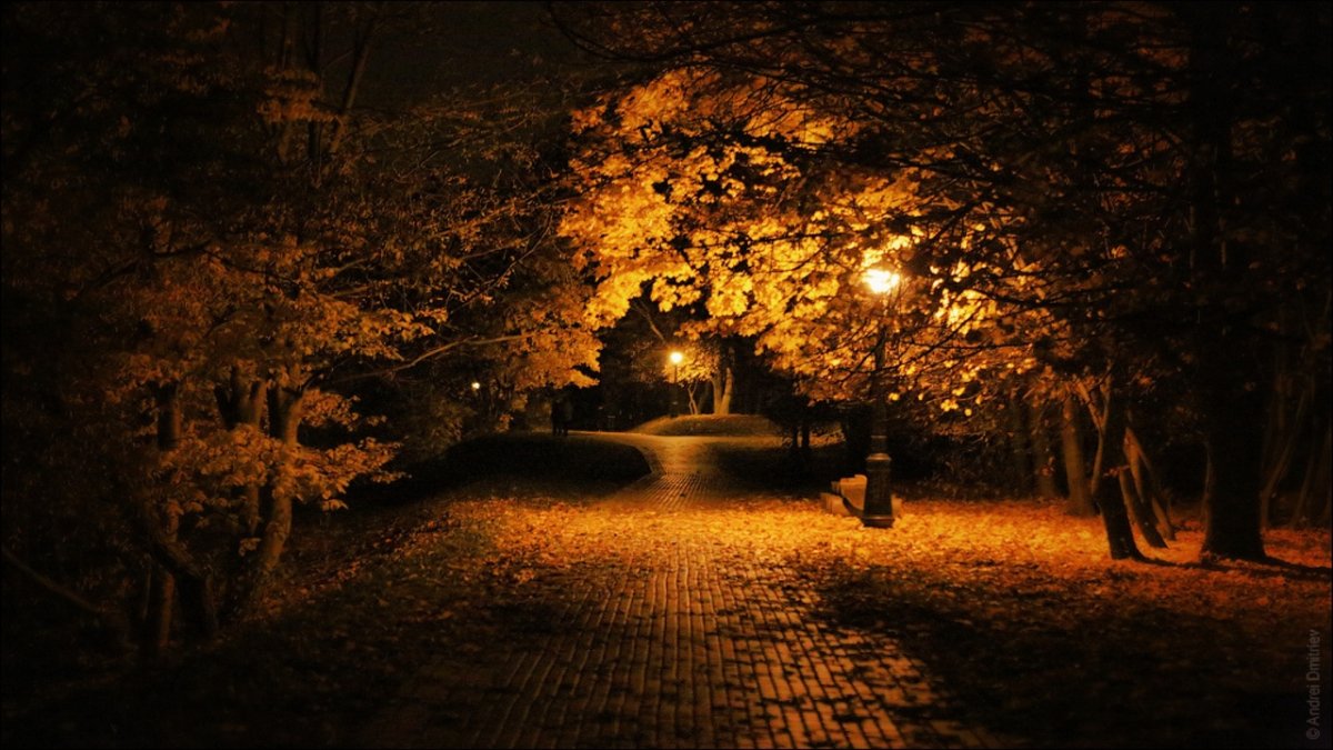 Вечерний осенний парк
