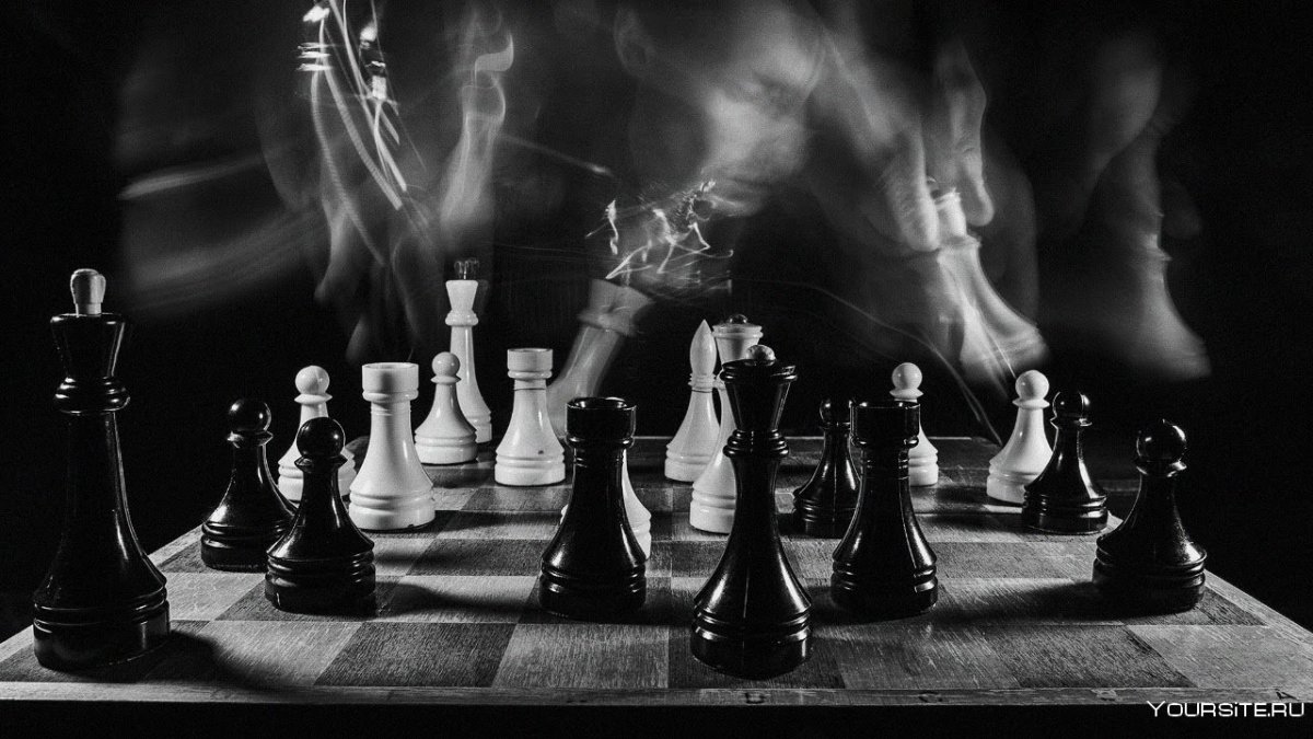 Пономарев Всеволод шахматы