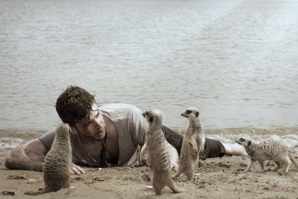 Сурикат умный