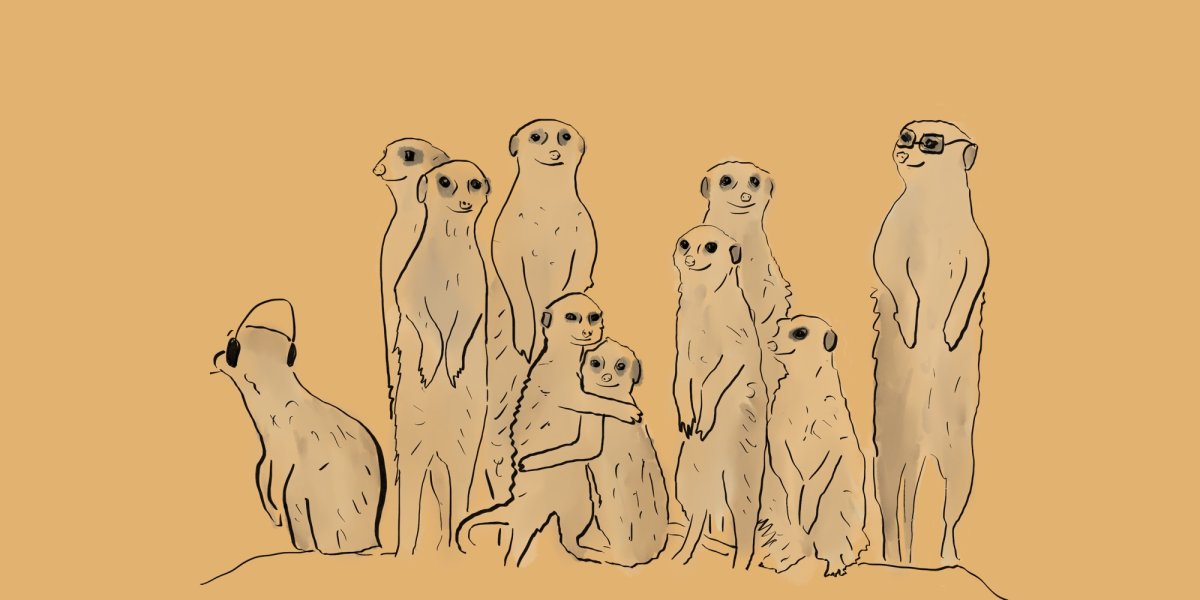 Сурикат в саванне