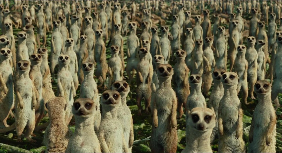 Сильвия Риттер животные