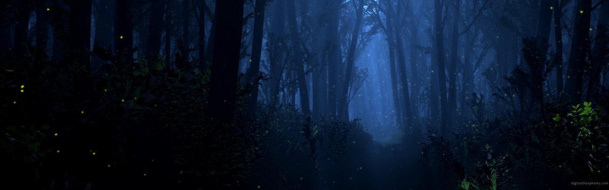 «Ночь в лесу»