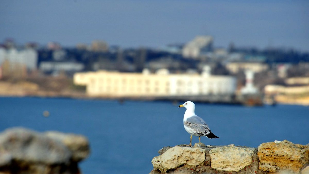 Весна в Севастополе