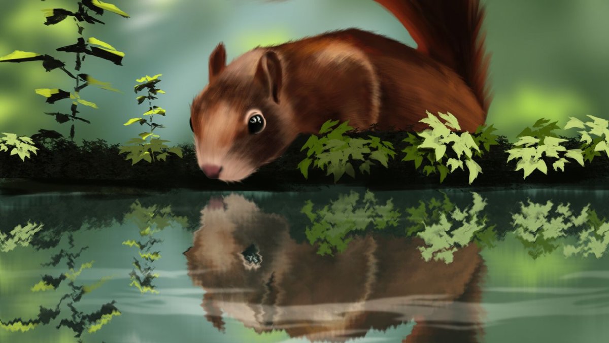 Фотограф Герт Вегген белка