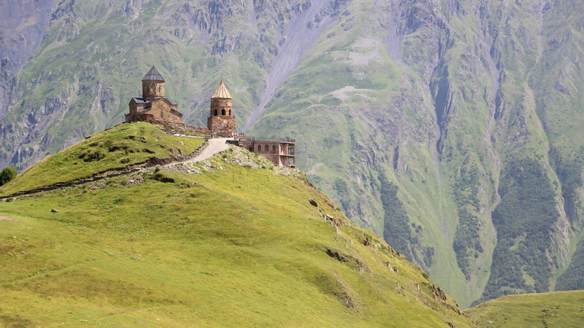 Эдельвейс красная Поляна