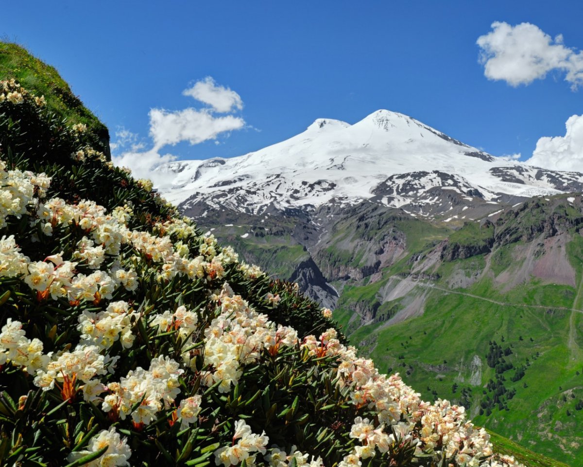 Южные Альпы новая Зеландия