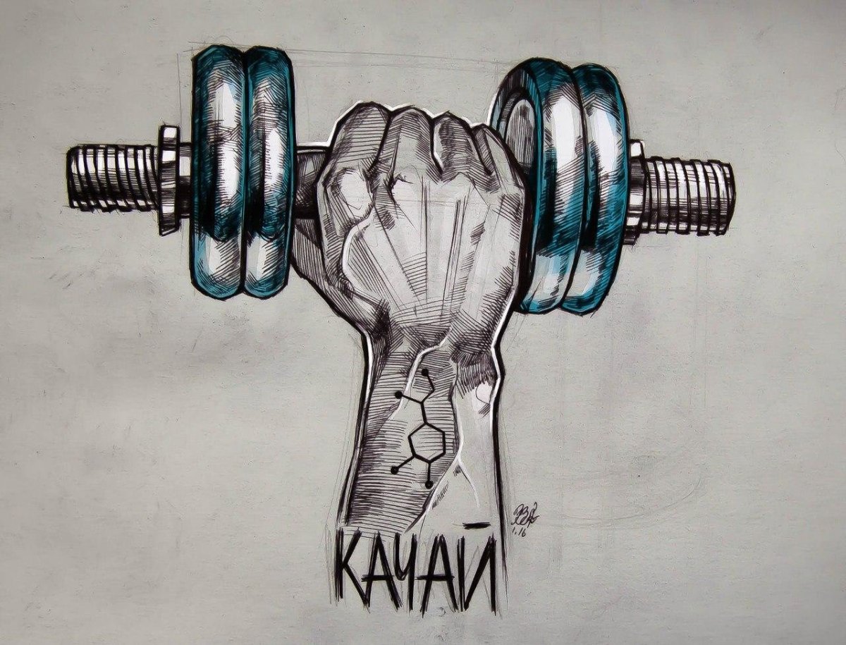 Штанги гантели арт