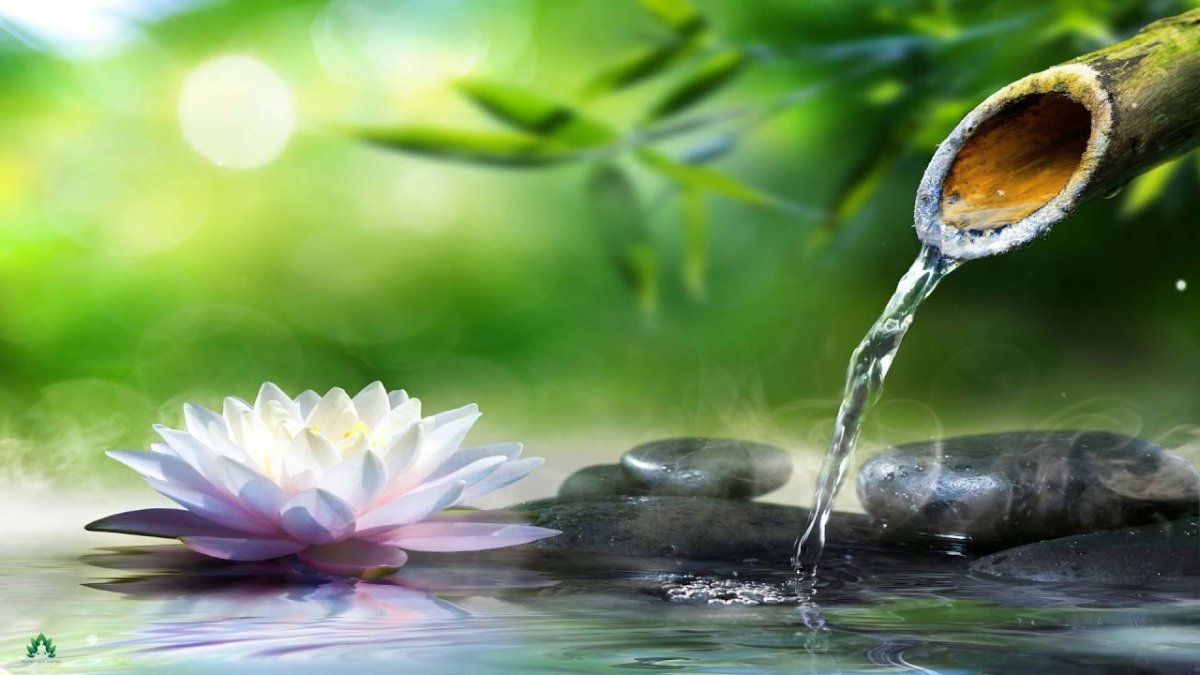 Бирюзовая природа