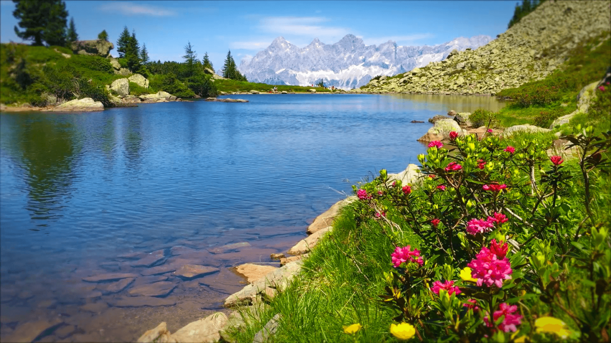 Абстракция природа