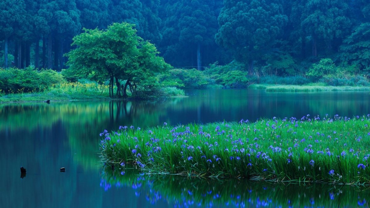 Природа релакс