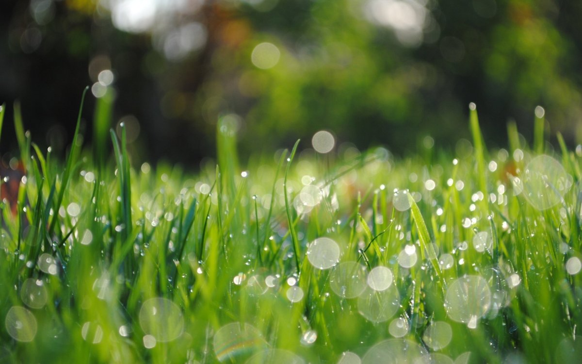 Солнечные блики на воде