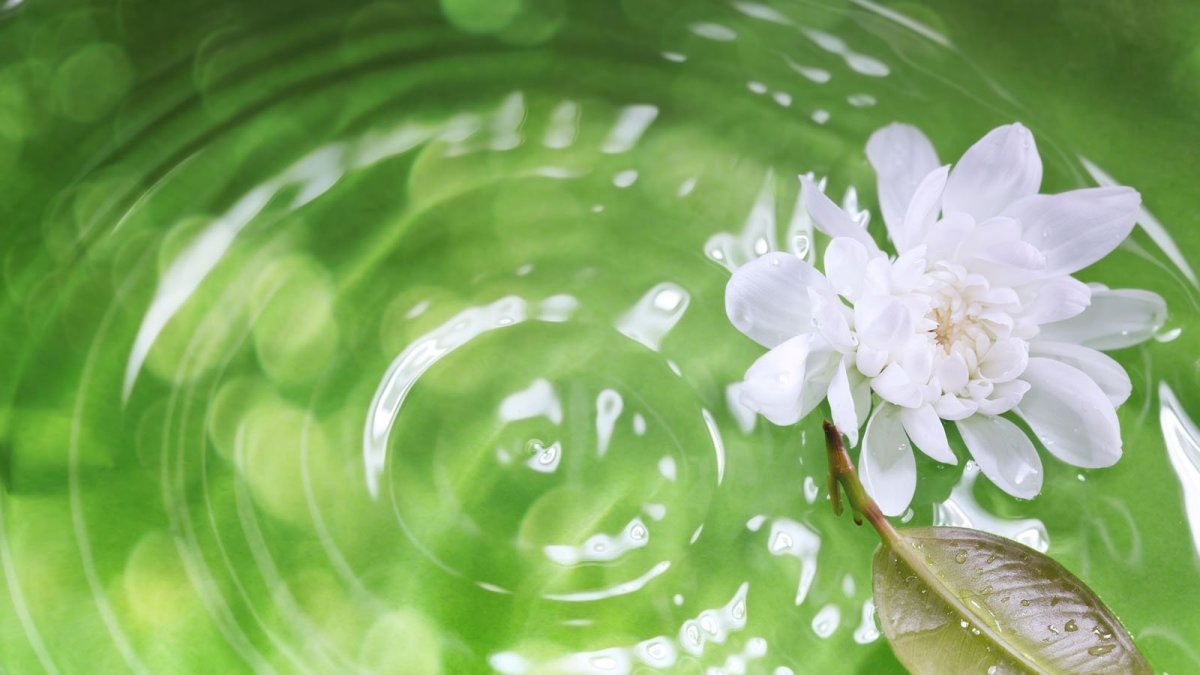 Фиточай липовый Ромашка мята