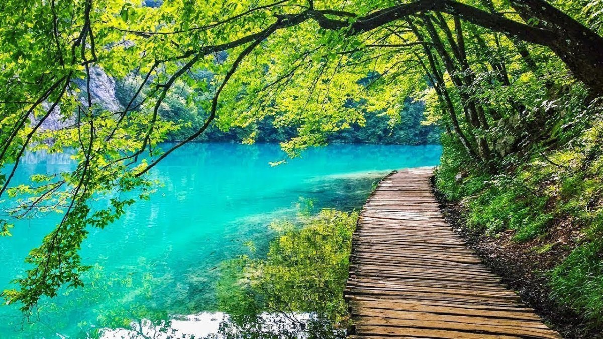 Круги на воде