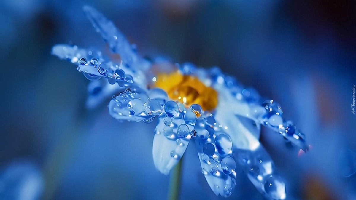 Мята плюс лайм