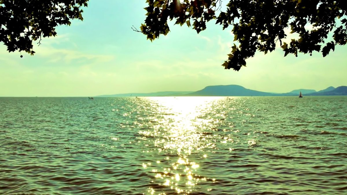 Чай на фоне природы