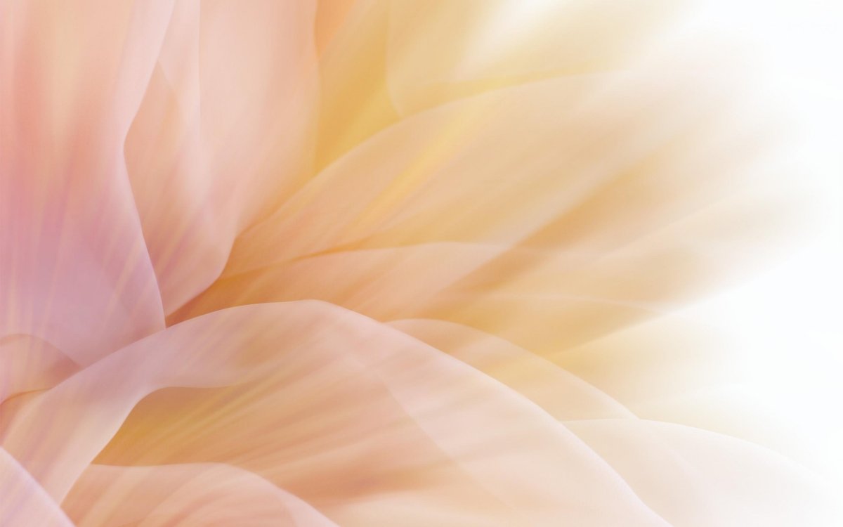 Персиковый фон