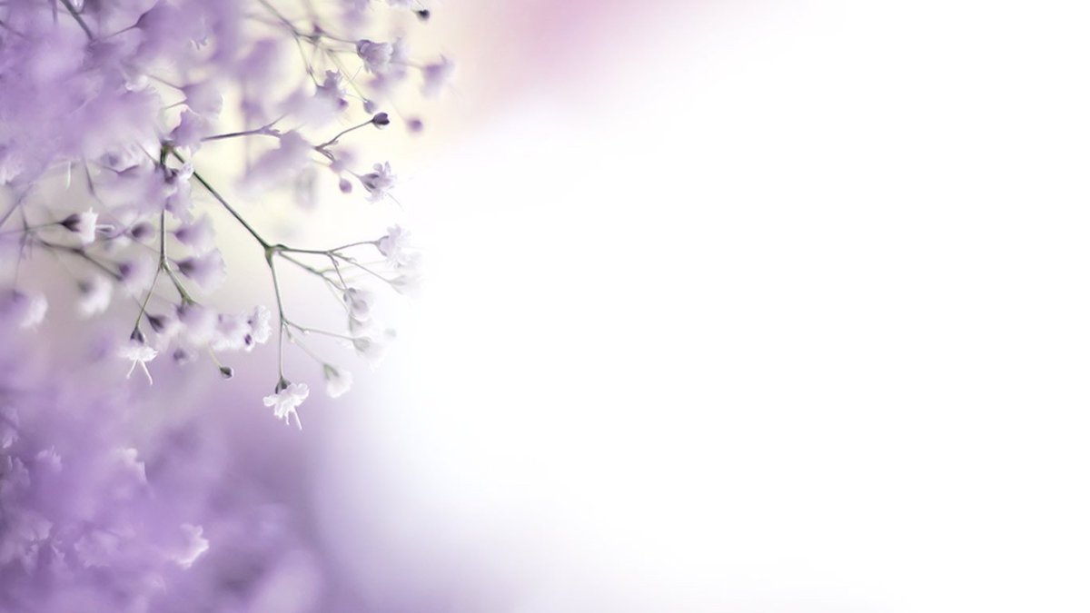 Нежные картинки для фона