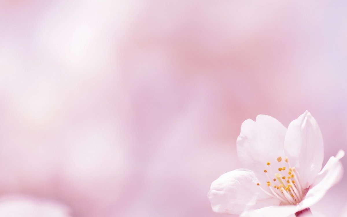 Весенний фон для презентации