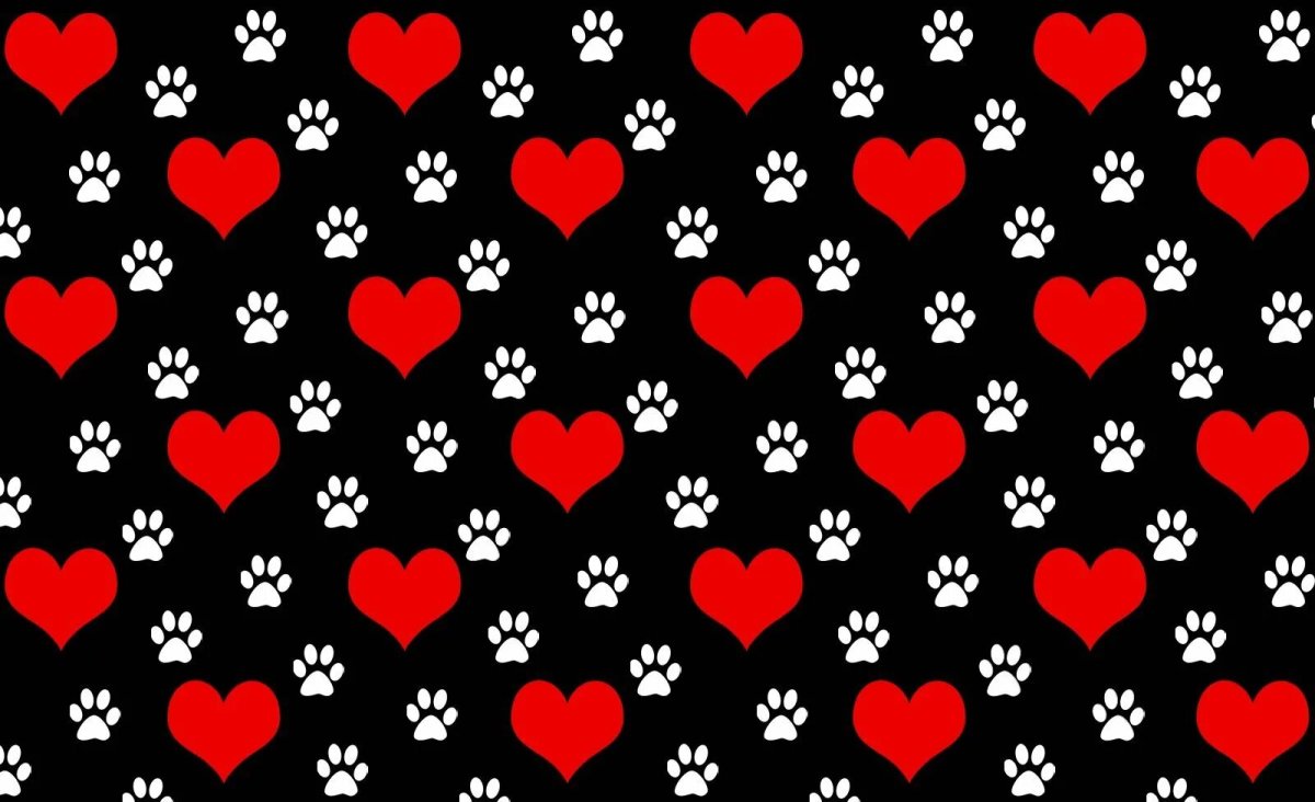 Фон сердечки
