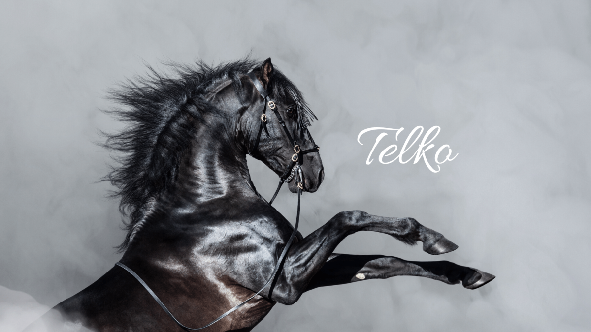 Золотая лошадь на черном фоне