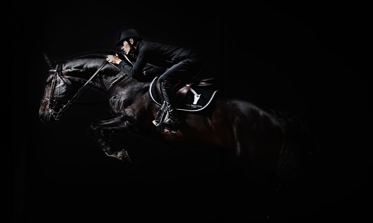 Лошадь черный