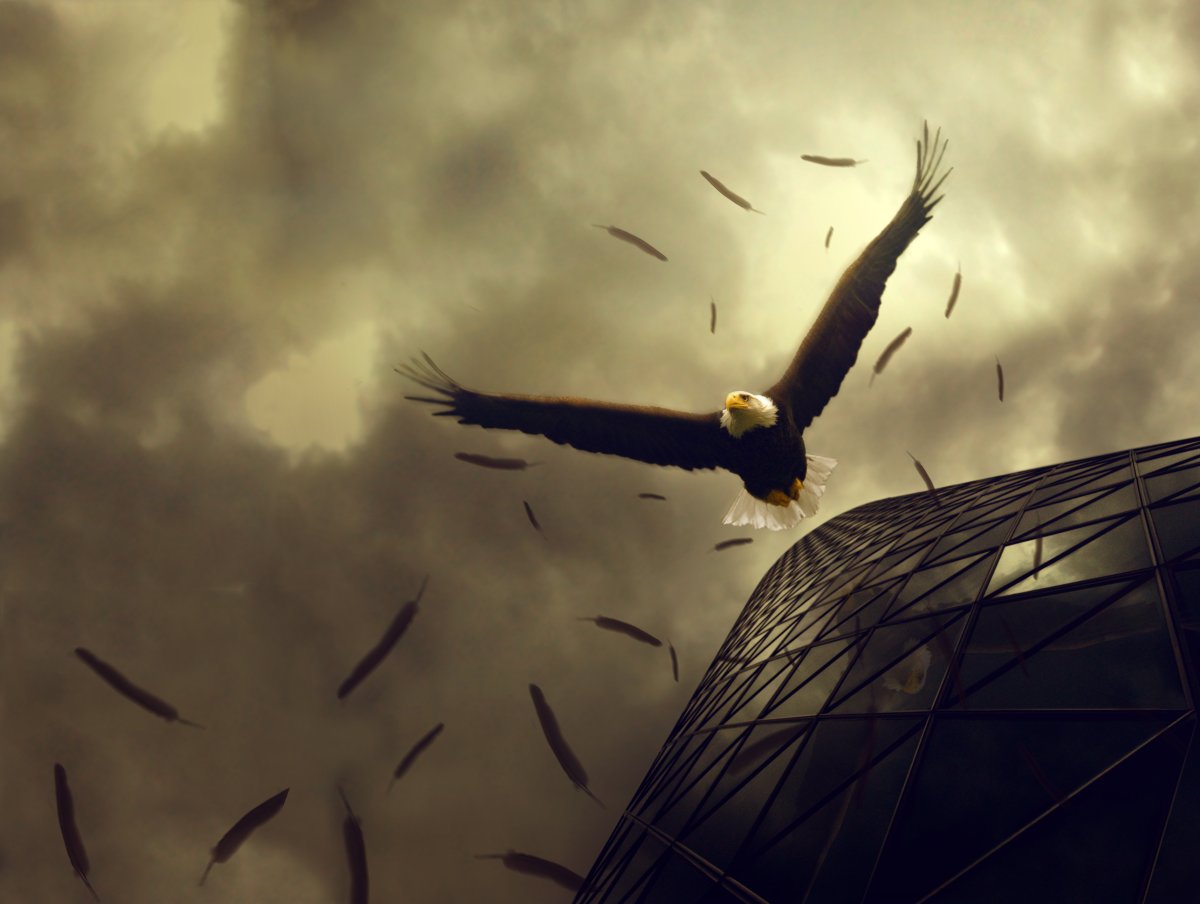 Орел парящий в небе арт