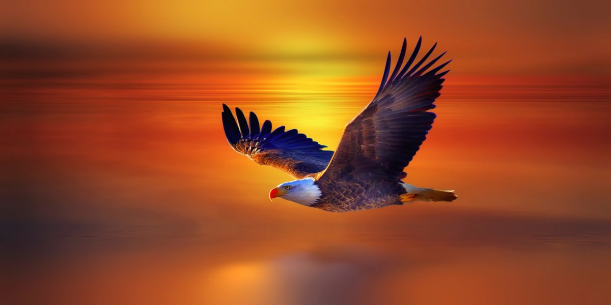 Парящий Орел