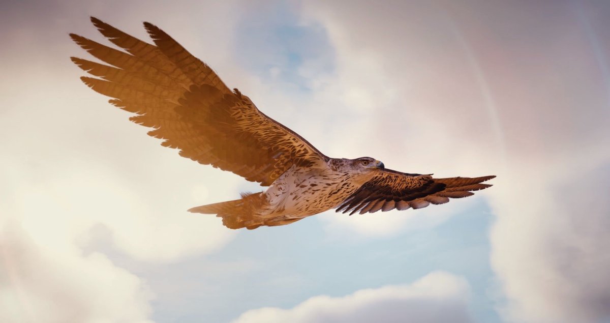 Парящий Орел в горах Кавказа