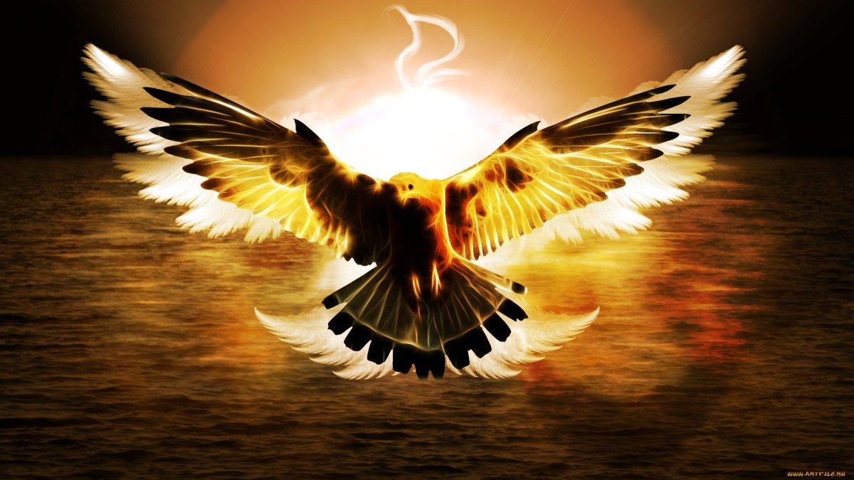 Фотообои Орлы в полете