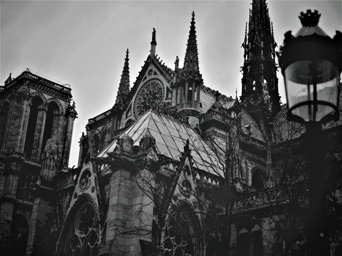 Готические соборы Германии Эстетика