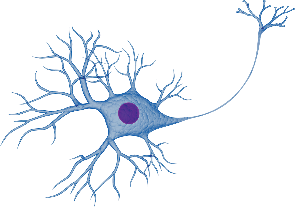 Нервные клетки на белом фоне