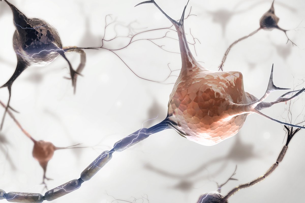 Нейроны на белом фоне