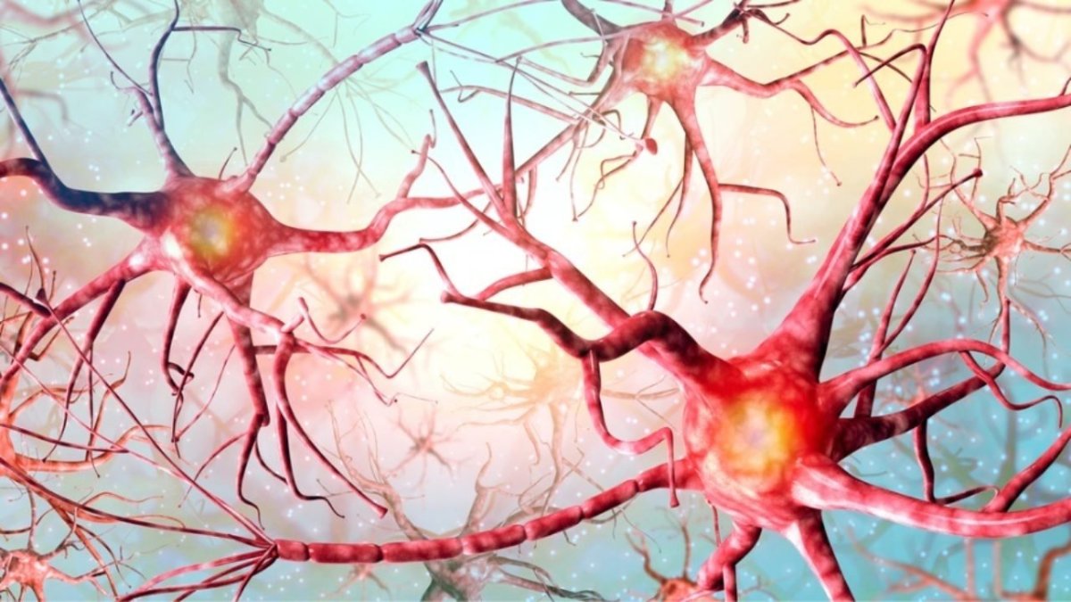 Нейрон значок