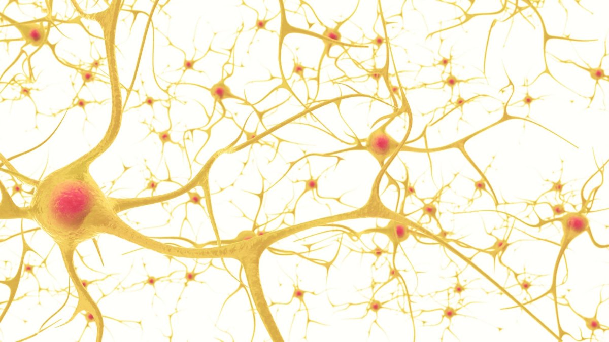 Сосуды на белом фоне