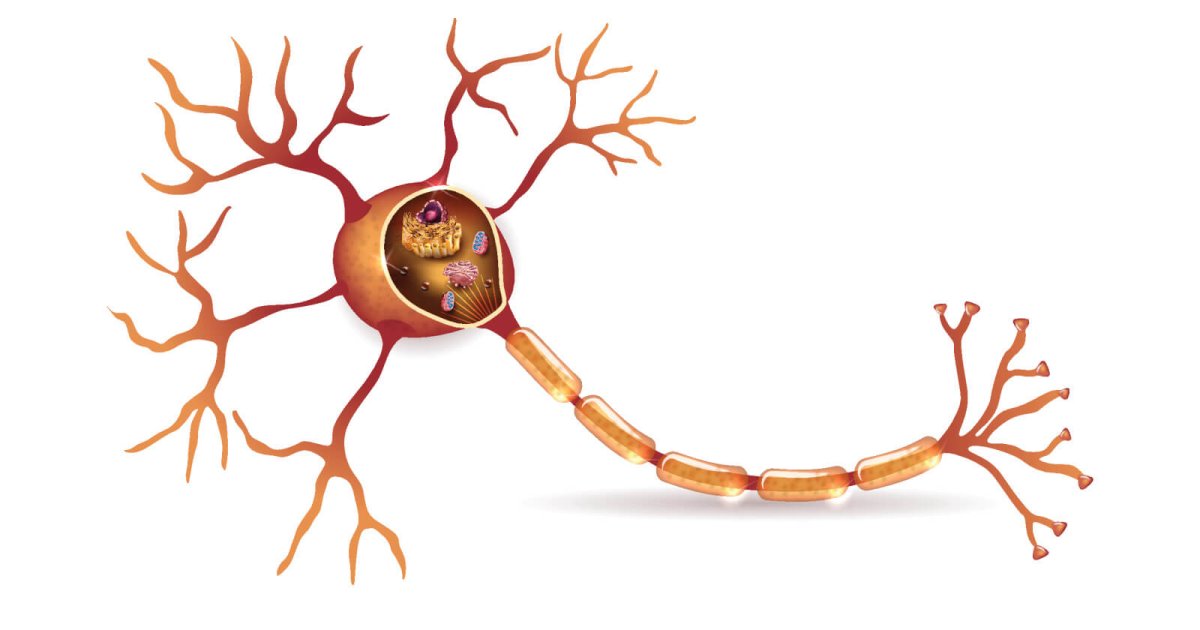 Нейрончик рисунок