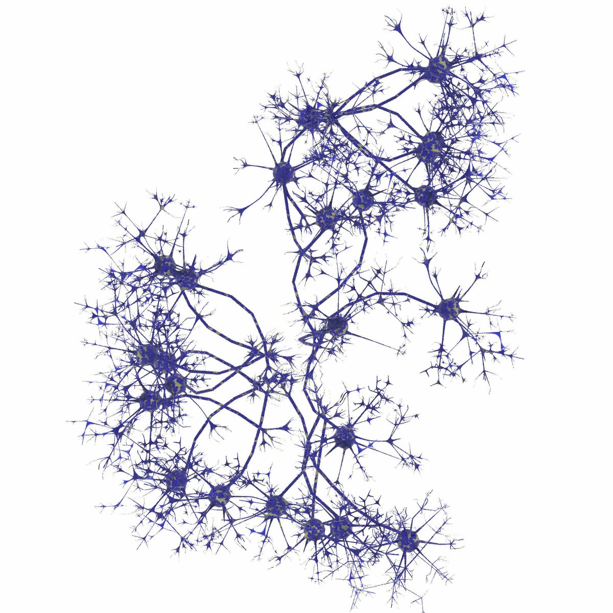 Сенсорный Нейрон