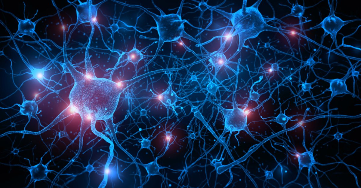 Нейрон клетка головного мозга