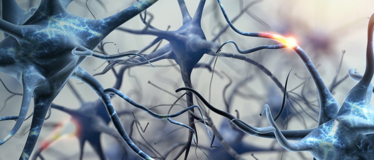 Нейроны светлый фон