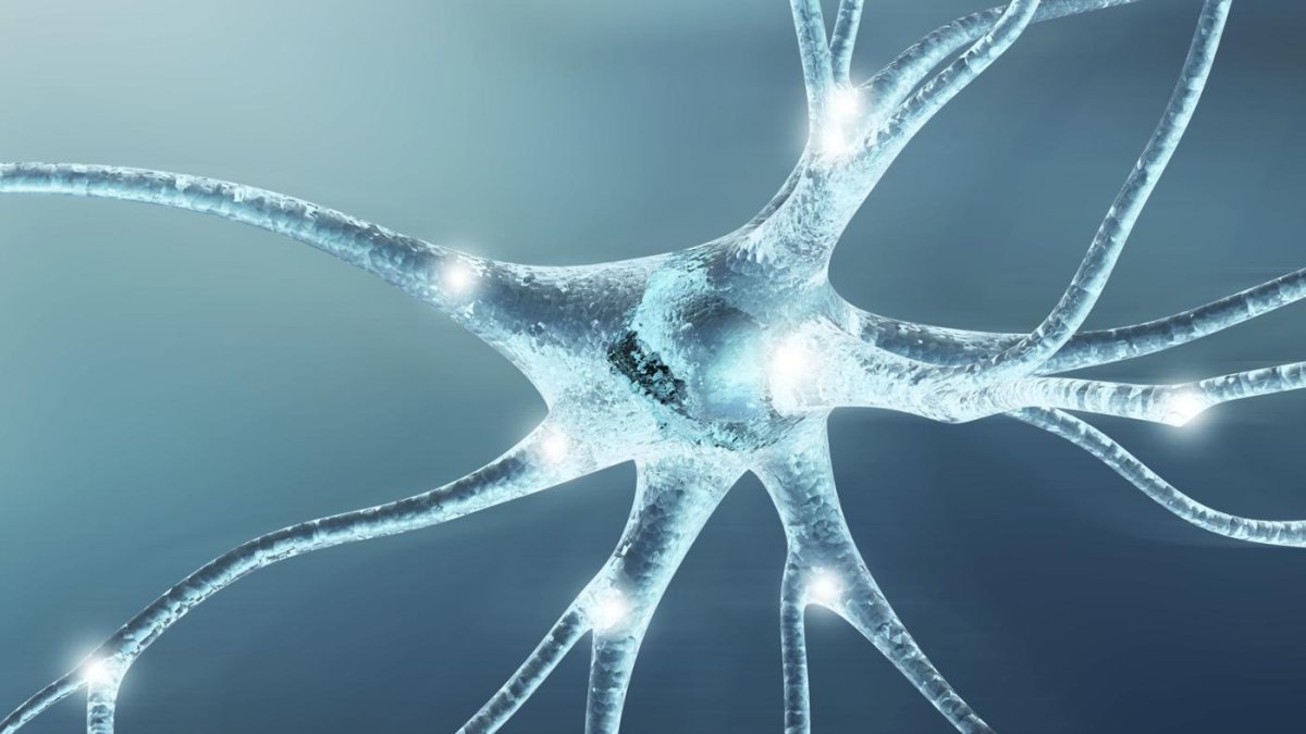 Нервные клетки на белом фоне
