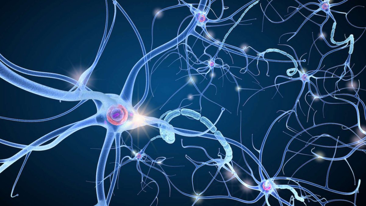 Нейроны мозга рисунок