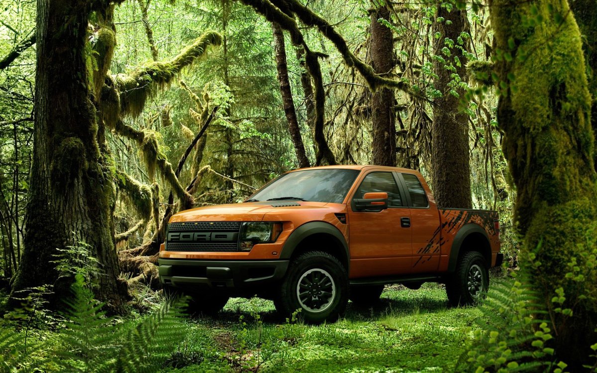 Ford f 150 Raptor в лесу