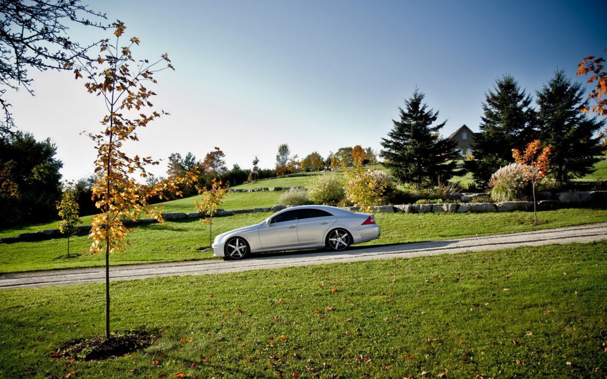 Машина на природе