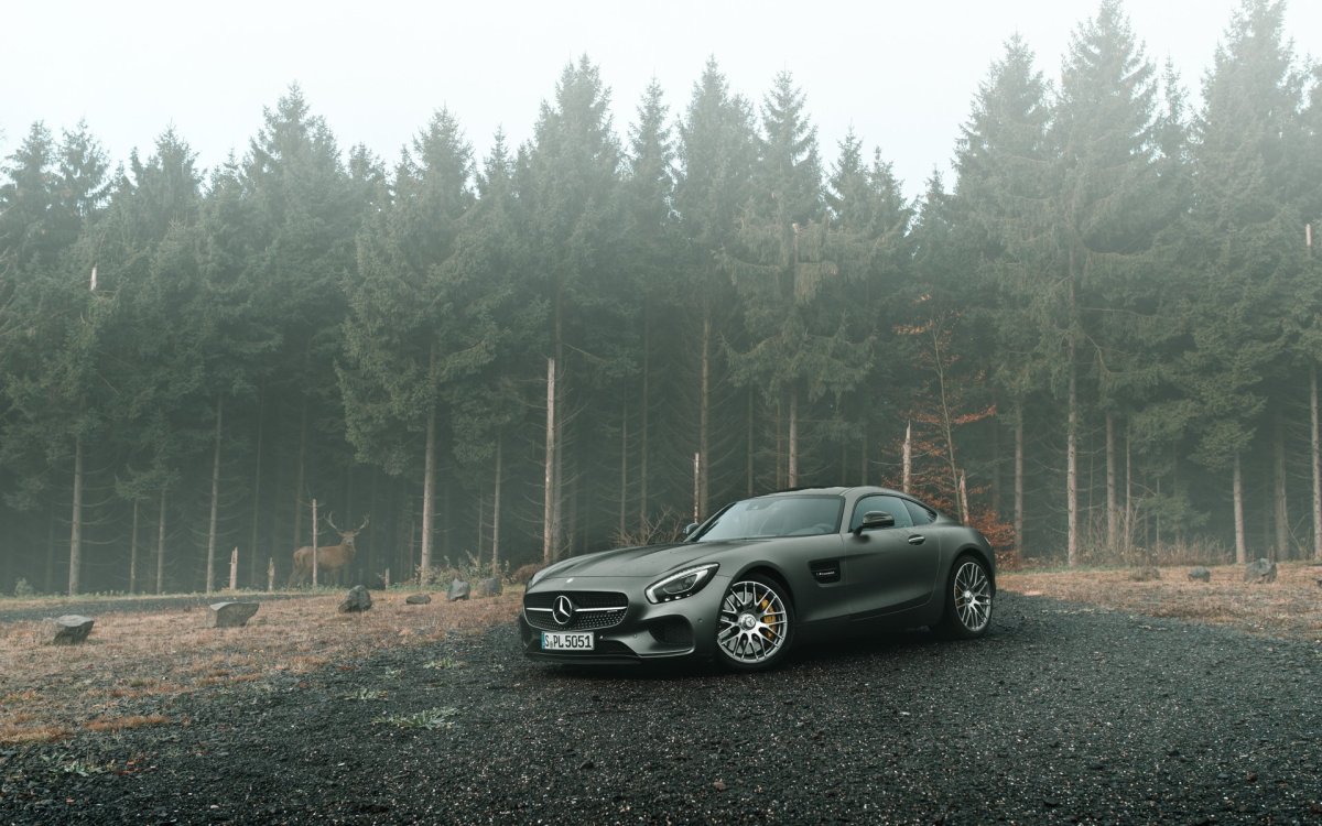 Мерседес AMG В лесу