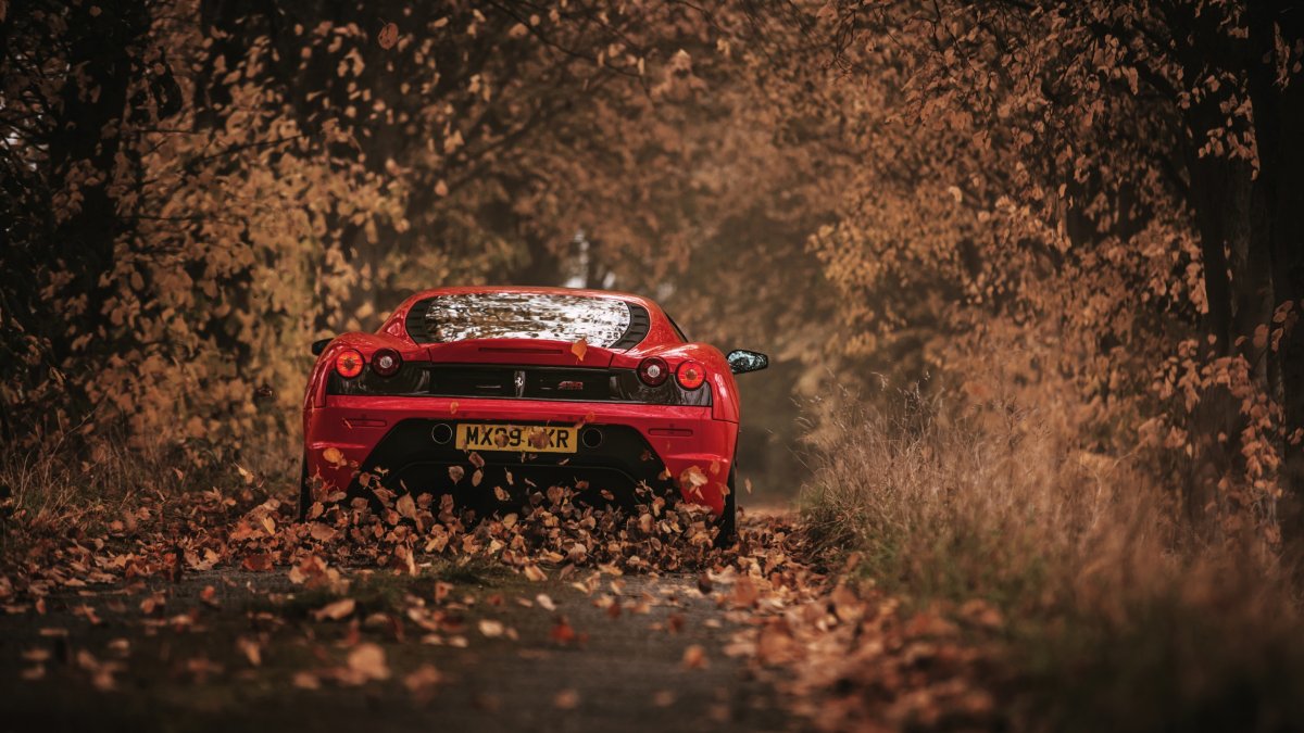 Машина осень