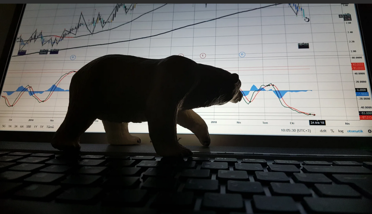 Трейдинг быки и медведи